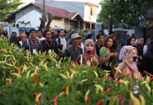 Peserta IGA 2023 Jatuh Hati di Lorong Wisata Sidney, Ini Alasannya