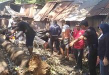 Rumah Warga Tertimpa Pohon di Muh Yamin, Anggota DPRD Makassar Muchlis Misbah Gerak Cepat