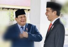 Jokowi Cenderung Dukung Prabowo, Peneliti LKP: Pengaruh PDIP Tumpul di Istana, Sama Luhut Saja Mereka Keok
