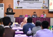 Cara Dispora Sulsel Wujudkan Satu Data Indonesia