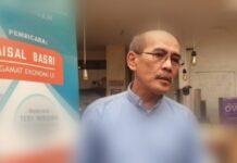 Kritik Kebijakan Hilirisasi Nikel, Pegiat LSM Sebut Faisal Basri Agen IMF: Tak Mau Lihat Indonesia Kaya