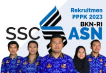 BKN Rilis Jadwal Perekrutan PPPK 2023, Terbanyak Honorer