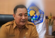 Jokowi Pilih Bahtiar Jadi Pj Gubernur Sulsel, Nama Aswanto Tak Diusulkan Mendagri
