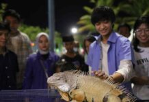 Serunya, Belajar Fauna di F8 Makassar
