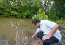 Sambangi Hutan Mangrove Kepulauan Riau, Andi Sudirman Tanam Pohon Cinta