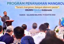 Era Andi Sudirman, Gubernur Sulsel Masif Penanaman Mangrove di Wilayah Pesisir