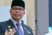 Hari Jadi Luwu, Taufan Pawe Sampaikan Ucapan Selamat