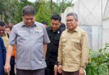 Kunker ke PT Vale Indonesia, Taufan Pawe Setia Dampingi Airlangga Hartarto