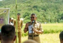 Taufan Pawe Sebut Geliatkan Ekonomi Sulsel, Kereta Api Rute Makassar-Parepare Beroperasi Bulan Ini