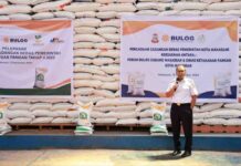 Danny Pomanto Garansi Stok Beras di Makassar Aman hingga Akhir Tahun