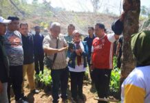 Pj Gubernur Sulsel Bahtiar dan Istri Sambangi Wajo, Begini Reaksi Warga