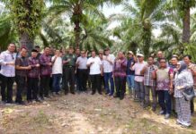 Targetkan 200 Juta Pohon Setahun, Sulsel Jadi Provinsi Penghasil Pisang Terbesar di Indonesia