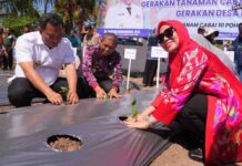 Aksi Tanam Cabai di Halaman Kantor Lurah Peneki, Pj Gubernur Bahtiar Serukan ASN Jadi Contoh