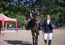 Buka Show Jumping Competition Walikota Makassar, Ketua KONI Ahmad Susanto Harap Olahraga Berkuda Berkembang