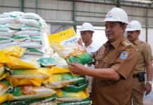 Stok Beras Sulsel Cukup hingga Akhir Tahun, Pj Gubernur Bahtiar Apresiasi Kinerja Bulog