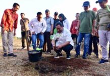 Surat Edaran Pj Gubernur Sulsel Bahtiar: 40 Persen Dana Desa untuk Pisang