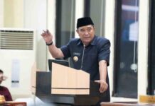 Surat Edaran Penggunaan Dana Desa 2024 di Sulsel, Kadis PMD: Tidak Wajib