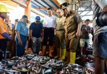 Cek Harga Ikan di TPID Paotere Makassar, Pj Gubernur Bahtiar: Harga Stabil