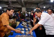 Kunjungi Pasar Minasa Maupa, Ini Temuan Pj Gubernur Sulsel Bahtiar Soal Harga Kebutuhan Pokok di Gowa