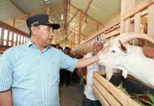 Kunjungi Gowa, Pj Gubernur Sulsel Bahtiar Bakal Jadikan Maros Kawasan Pusat Peternakan Ayam dan Kambing