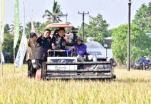 Panen Raya Padi di Tengah El Nino di Maros, Pj Gubernur Sulsel Bahtiar: Terima Kasih Petani
