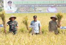 Metode Pompanisasi, Pj Gubernur Sulsel Bahtiar Panen Raya di Gowa di Tengah El Nino
