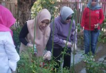 Hangatnya Kebersamaan Indira Yusuf Ismail bersama Pj Ketua TP PKK Provinsi Sulsel Panen Sayur di Lorong Makassar