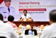 Bahas Pisang, Pj Gubernur Sulsel Bahtiar Bertemu Khusus Kepala OJK