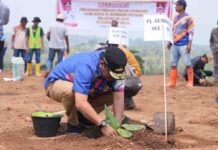 Pj Gubernur Sulsel Bahtiar Tanam Pisang di Lahan Bupati Bulukumba 20 Hektare di Sinjai
