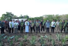 Dukung Program Ketahanan Pangan Sulsel, Pesantren As’diayah Siapkan Lahan 100 Ha untuk Pertanian dan Peternakan