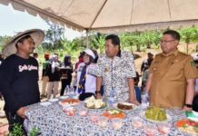 Siapkan 48 Hektar Lahan, Pemkot Palopo Lakukan Budidaya Pisang, Pj Gubernur: Masyarakat Indonesia Suka Makan Pisang