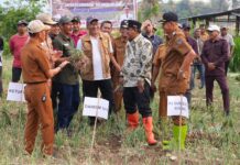 Pemprov Bakal Bantu Sumur Bor Petani Enrekang