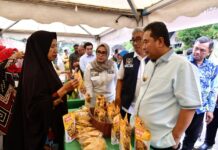 PJ Gubernur Dorong Penyuluh Tanam Pisang Agar Pendapatannya Sejahtera PJ Gubernur Sulsel Dorong Penyuluh Tanam Pisang