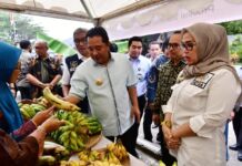 Pemprov Kumpulkan Penyuluh Pertanian se Sulsel, Bahas Budidaya Pisang