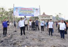 1.500 Hektar Lahan di Sidrap Disiapkan Untuk Budidaya Pisang