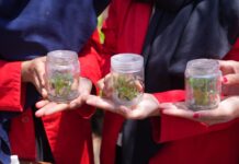 Gebrakan Luar Biasa Pj Gubernur Bahtiar, Niatnya Bakal Dirikan SMK Vokasi Budidaya Pisang