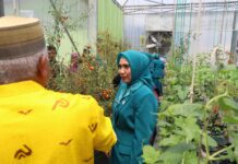 Sofha Marwah Kagumi Penggunaan Teknologi Pertanian di Soppeng