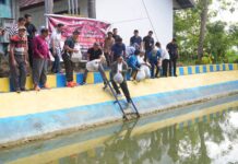 Pj Gubernur Bahtiar Tebar 21 Ribu Benih Ikan di Kolam Wallolangi Kabupaten Bone