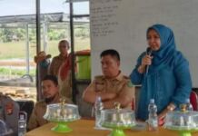 Wakil Ketua DPRD Maros Haeriah Rahman Tudang Sipulung Bareng Petani di Kecamatan Tanralili