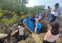 Guna Melestarikan Pesisir di Hari Nusantara DKP Sulsel Tanam 78 Ribu Mangrove di Bone