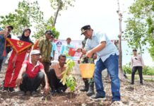 Gunung Gundul di Bone ‘Disulap’ Jadi Pohon Sukun, Pj Gubernur Bahtiar Dapat Apresiasi dari Masyarakat