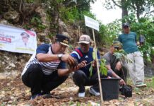 Yakin Tanaman Sukun Solusi Peningkatan Ekonomi, Kades Hingga Petani di Bone Ramai-ramai Menanam