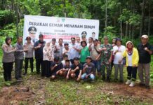 10 Ribu Pohon Sukun Bakal Ditanam di Rammang-rammang