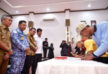 KUR Budidaya Pisang Cavendish di Lounching, Bank Sulselbar Gelontorkan Rp1,15 Miliar ke Petani Bone