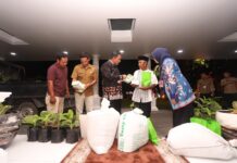 Kades Bonto Masunggu Siapkan Lahan 400 Hektare dan Kini Terima Bibit di Rujab Gubernur Sulsel