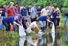 Pj Gubernur Bahtiar, Kapolda Andi Rian Djajadi Sebar 8000 Ribu Bibit Ikan Nila di Kolam Kampus Biru