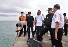 Pantau Stasiun Pasang Surut Air Laut Pendeteksi Dini Tsunami, Nelayan Minta ke Pj Gubernur Bahtiar untuk Dibuatkan Pemecah Ombak Diluar Tanggul