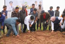 Pj Gubernur Bahtiar Terjun Langsung Tanam Kentang Bersama Petani Tinggimoncong di Gowa
