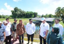 Bupati Pangkep Serius Galakkan Hortikultura untuk Mendongkrak Perekonomian Masyarakat