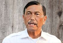 Harga Nikel Anjlok, Luhut: Itu Sudah Tepat, Kalau Mahal Justru Berbahaya